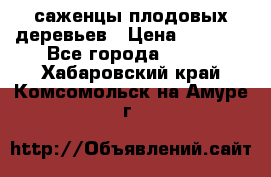 саженцы плодовых деревьев › Цена ­ 6 080 - Все города  »    . Хабаровский край,Комсомольск-на-Амуре г.
